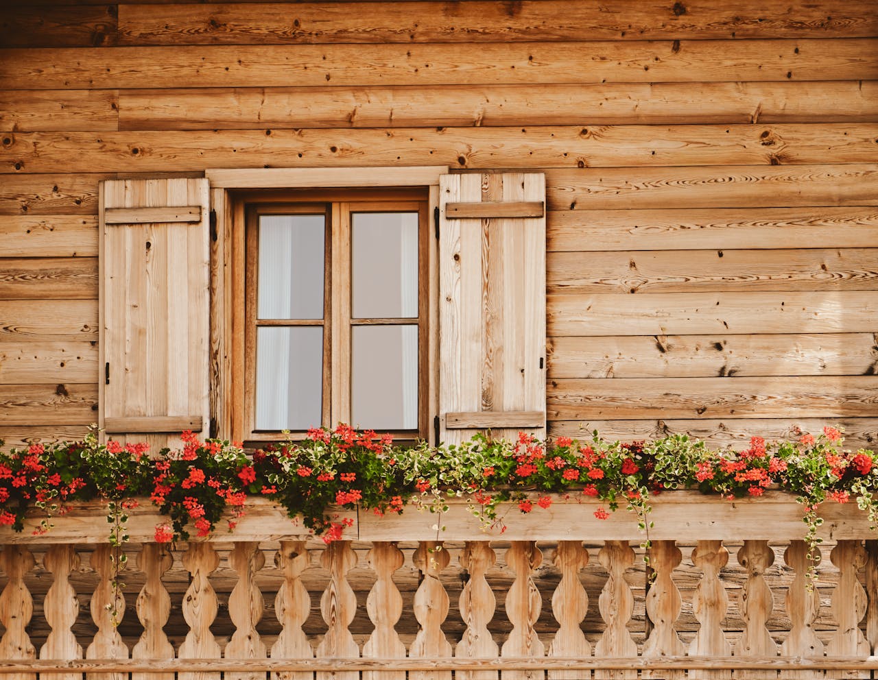 pexels alexasfotos 34256157.jpg