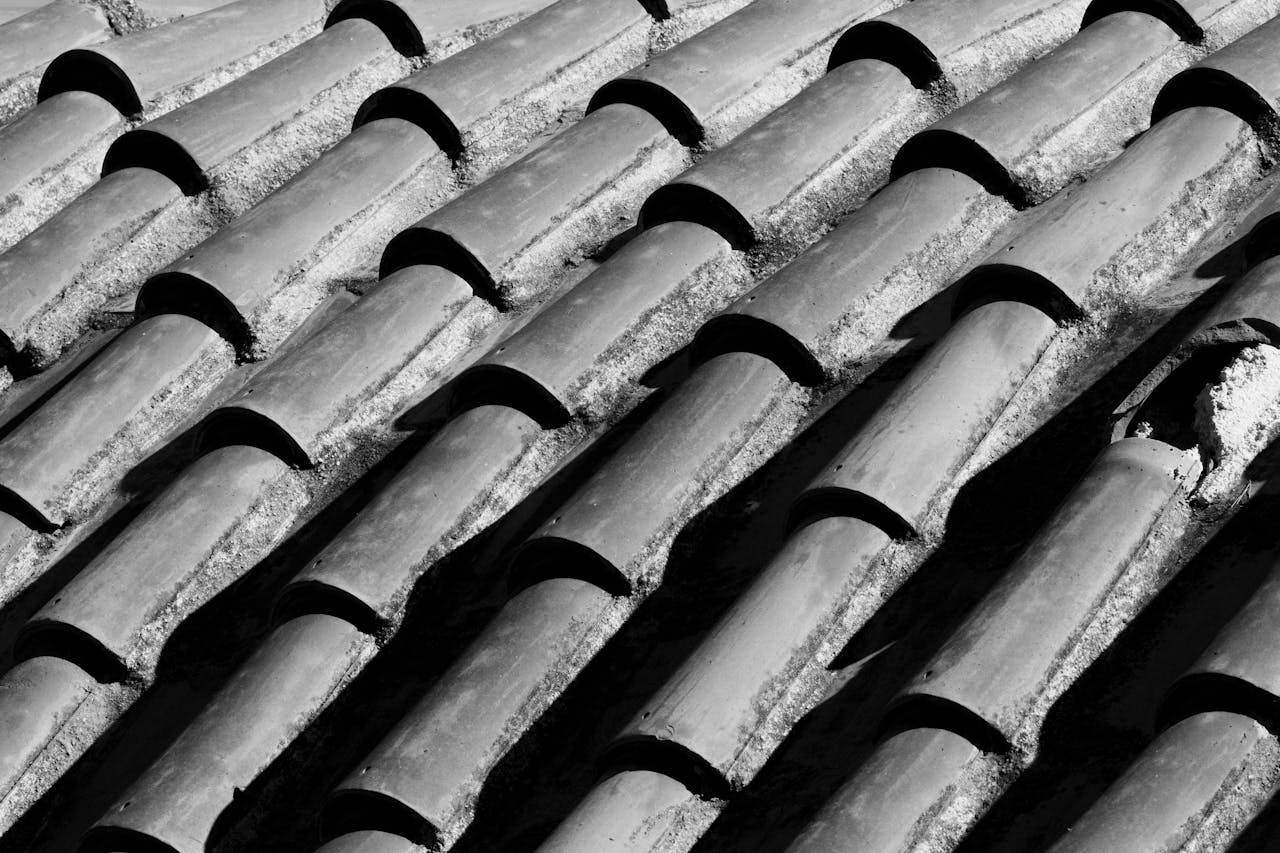 pexels enginakyurt 34313592.jpg