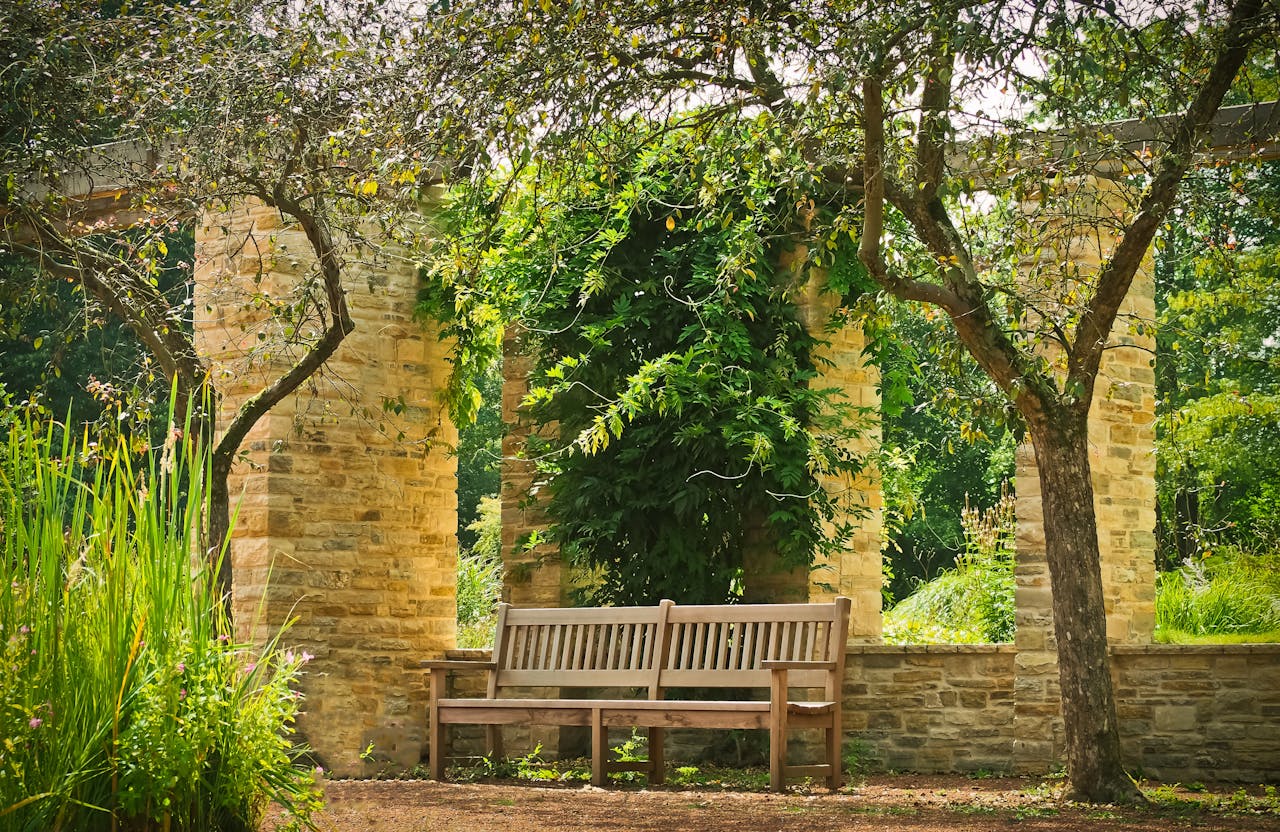 pexels pixabay 161064.jpg