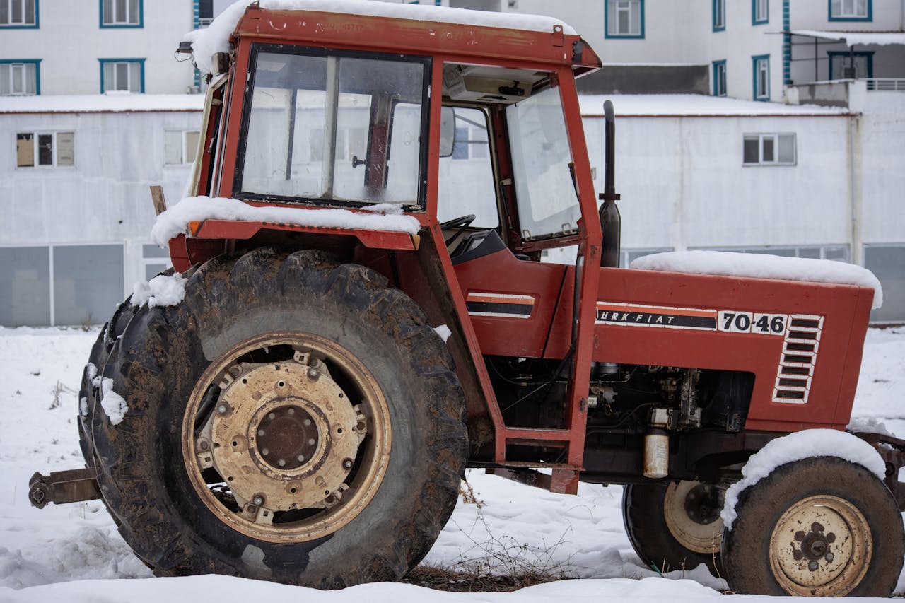 pexels zlfdmr23 30006385.jpg