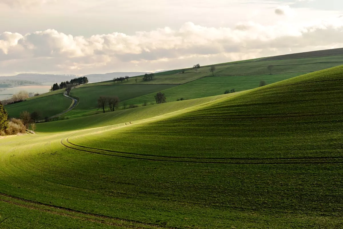 Geomehaničko modeliranje 1.jpg