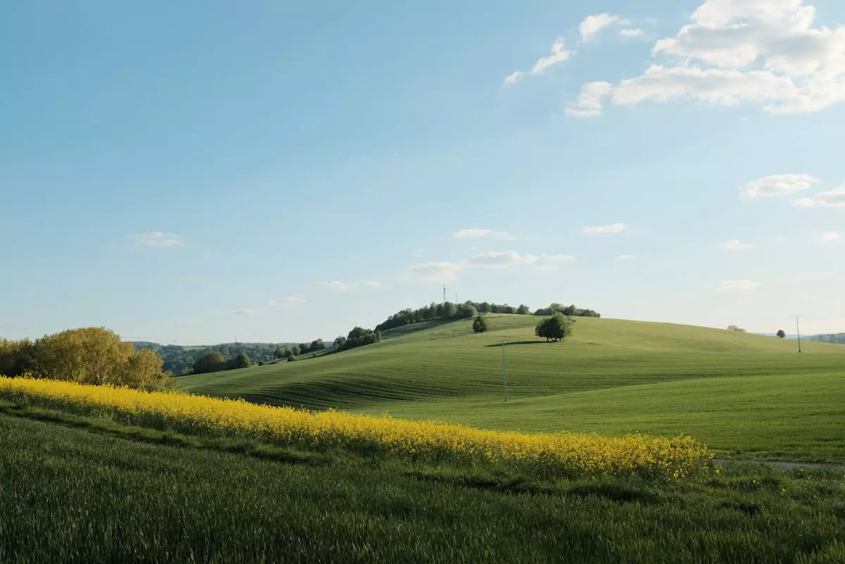 Geomehaničko modeliranje 3.jpg