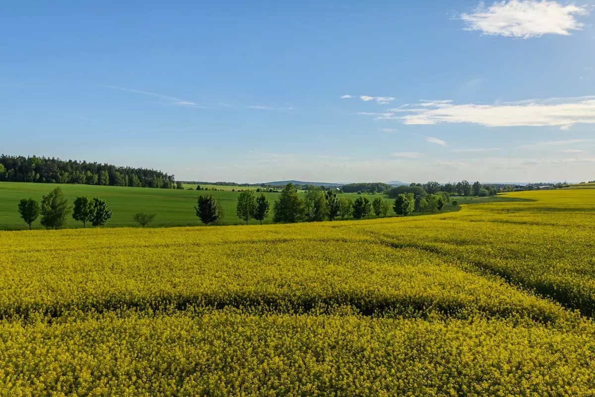 Geomehaničko modeliranje 4.jpg