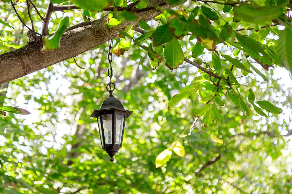 Projektiranje rasvjete u vrtu 3.jpg